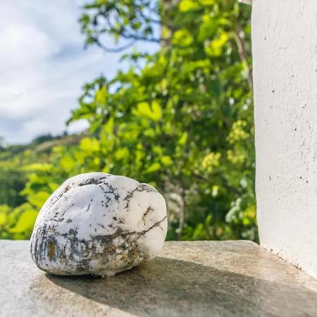 Apopsis Tinos View *